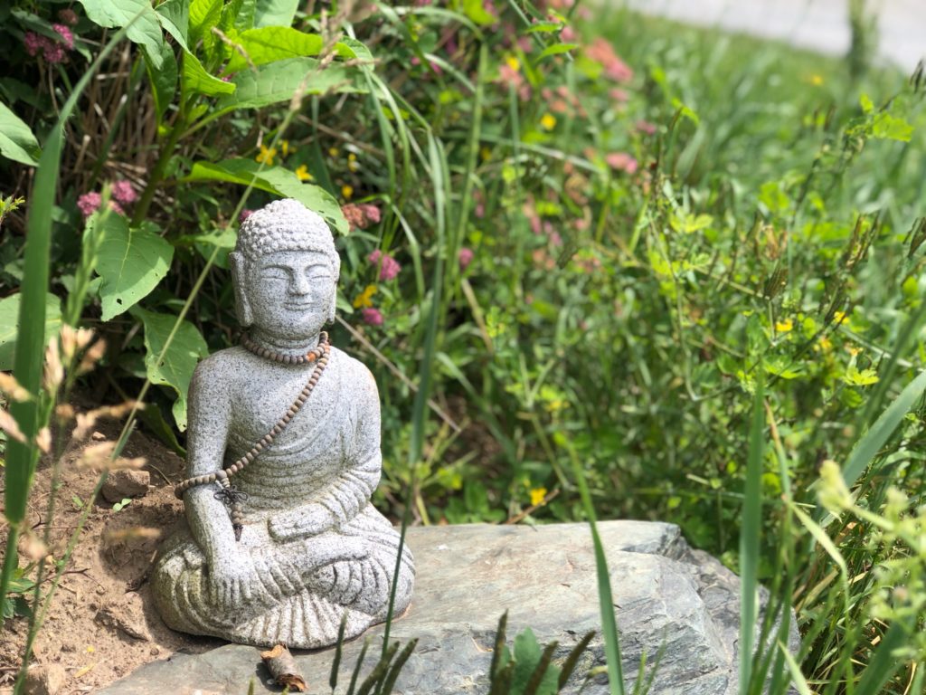 Buddha Statue on a stone surrounded by grass, leaves, and flowers